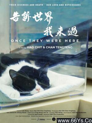 谍影迷踪