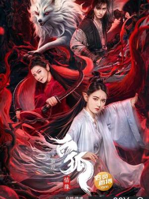 青春岁月
